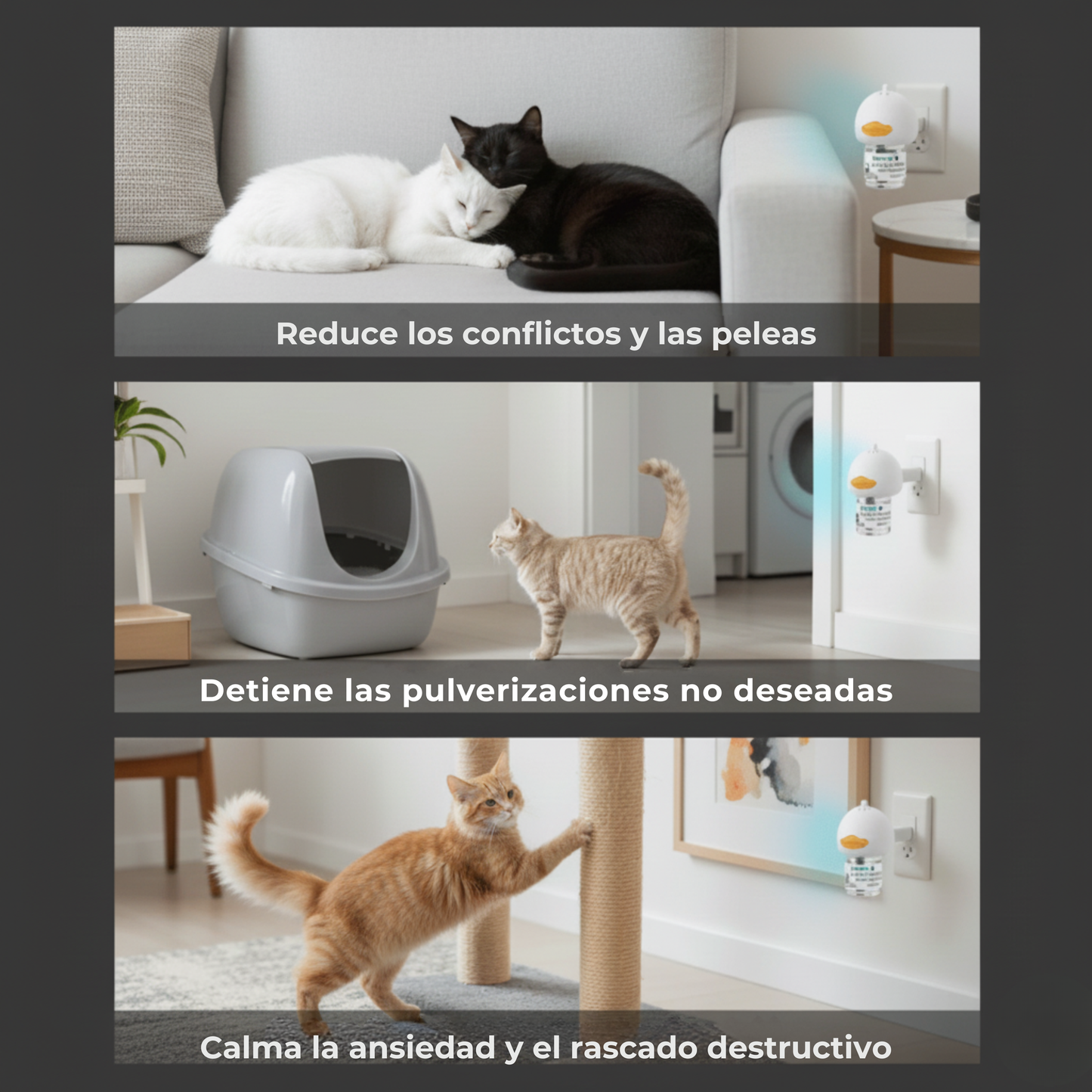 ZenCat™ - Kit Difusor De Harmonia