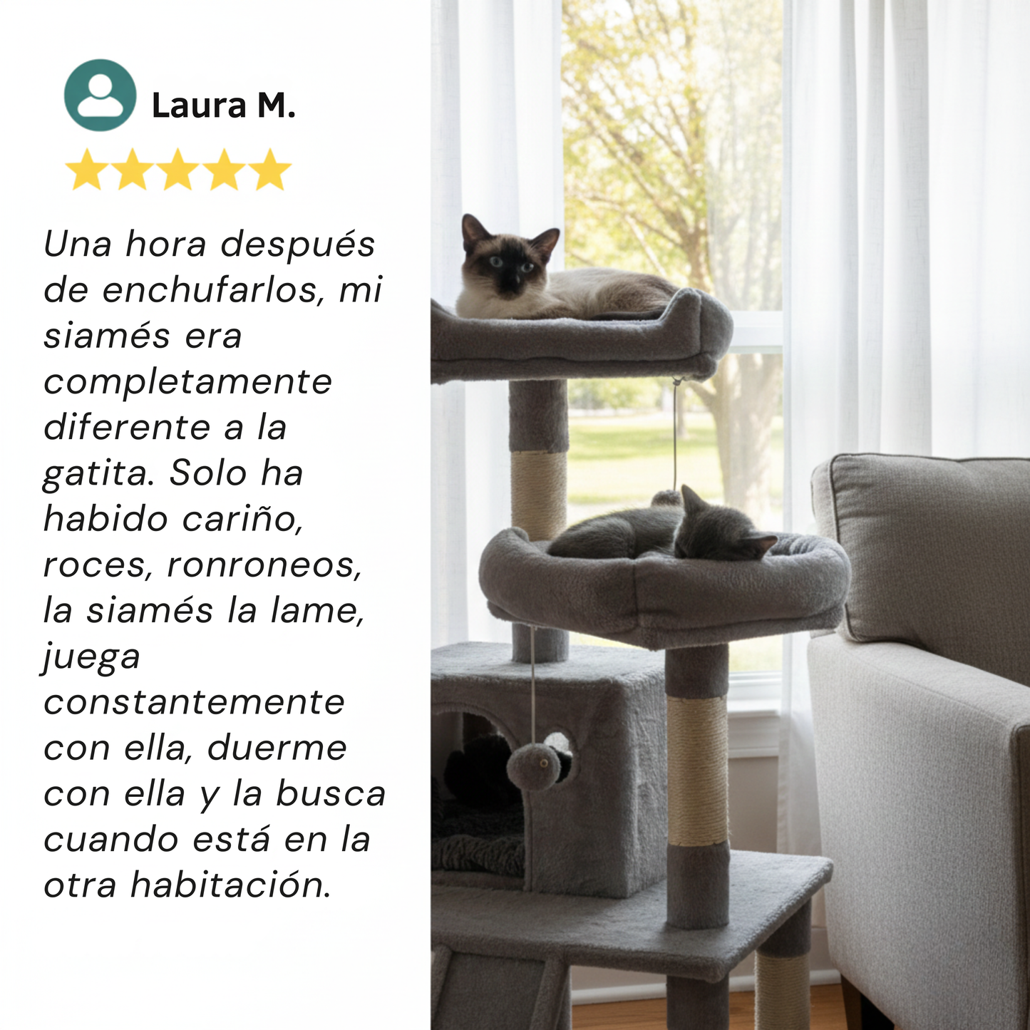 ZenCat™ - Kit Difusor De Harmonia