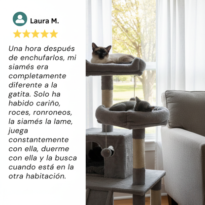 ZenCat™ - Kit Difusor De Harmonia