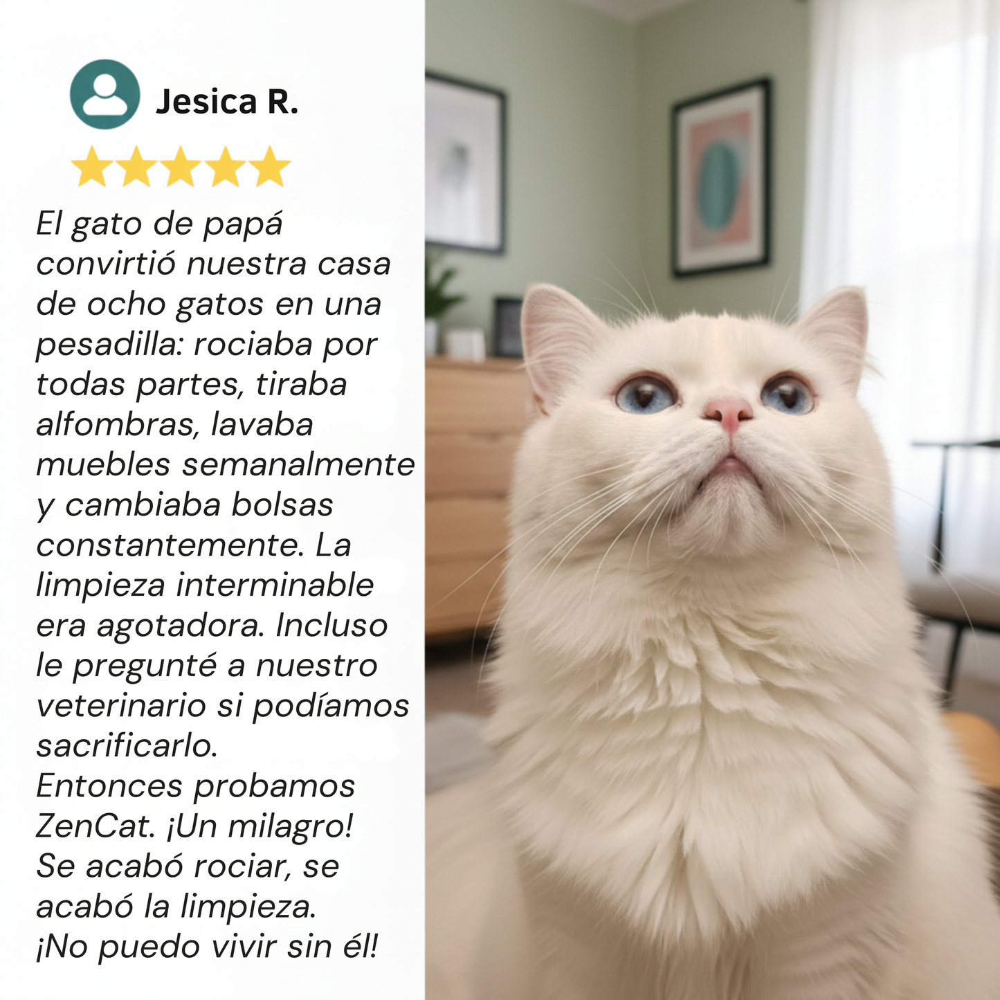 ZenCat™ - Kit Difusor De Harmonia