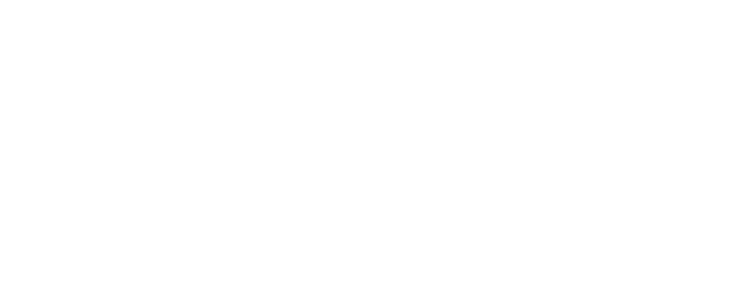 NapTravel logo white